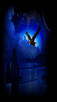 pic for night fligh